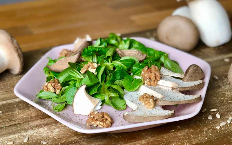 Frischer Walnuss-Pilz Salat - Nahaufnahme