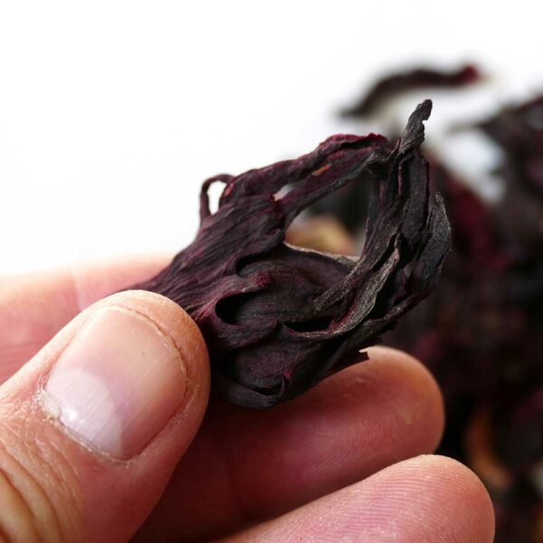 Genial Genießen Hibiskus Blüten für Glüh-Gin - Hibiskusblüten Detailfoto mit Hand