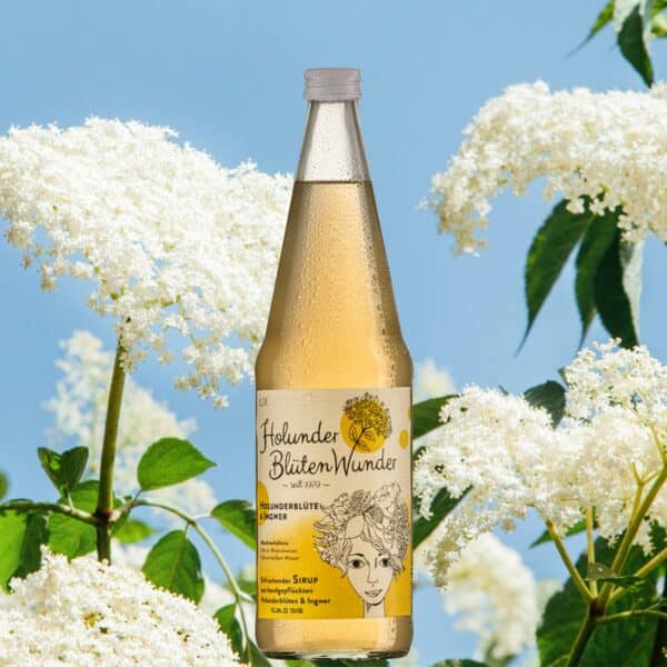 Holunderblütenwunder Holunder und Ingwer 0,7 Liter