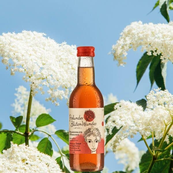 Holunderblütenwunder Holunder und Rhabarber 0,25 Liter