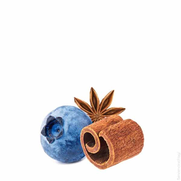 Blaubeer-Vanille-Zimt-Mini